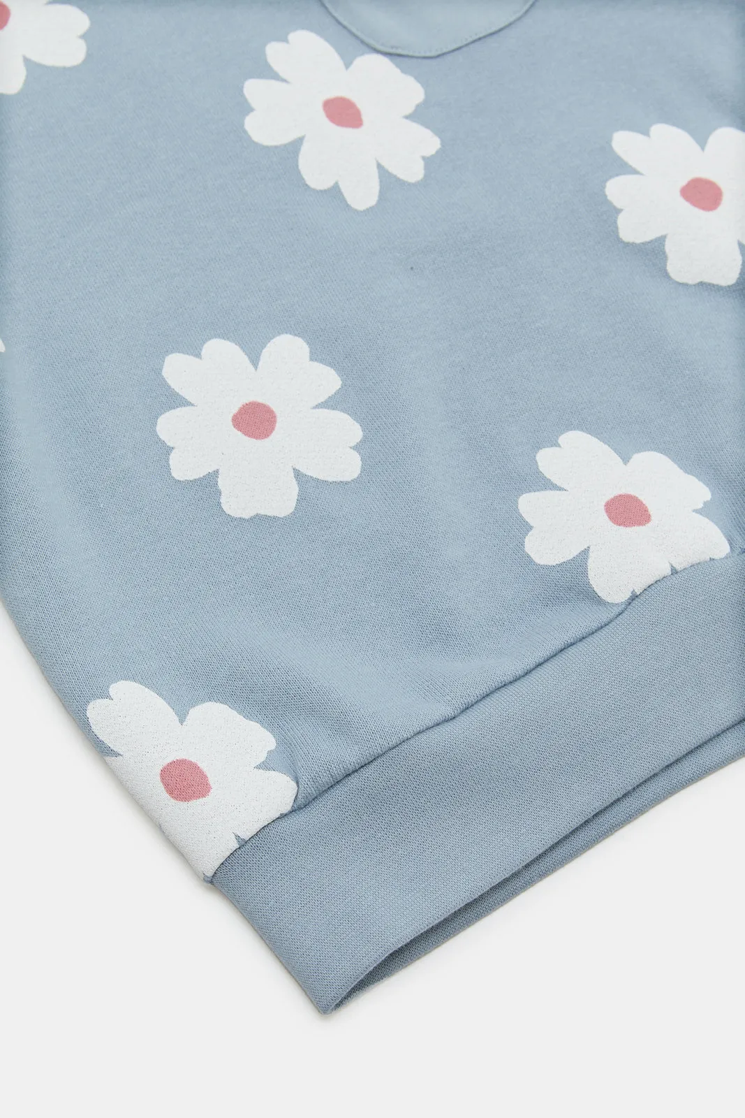 Infant Girls Blue Floral Print Sweatshirt