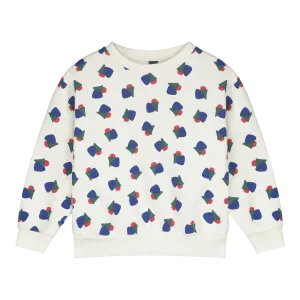 SW12-SWEATSHIRT ALLOVER MATHS -Fog